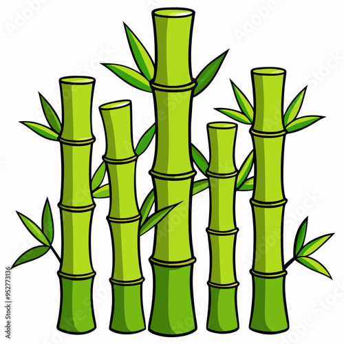 Bamboo Vector Art on White Background