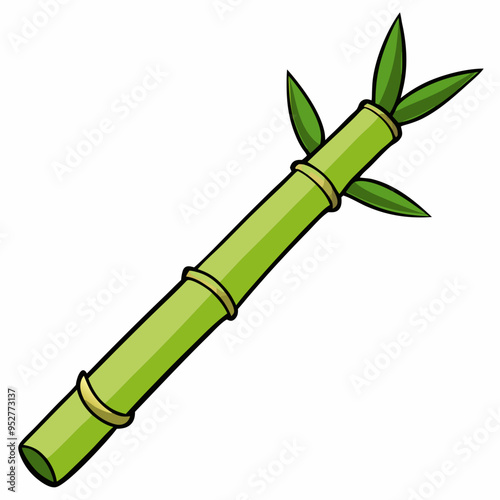 Bamboo Vector Art on White Background