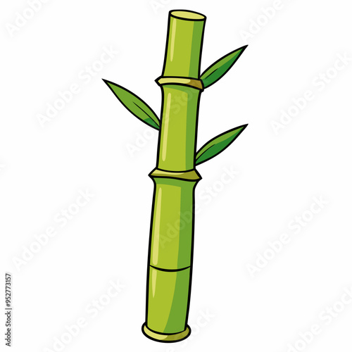 Bamboo Vector Art on White Background