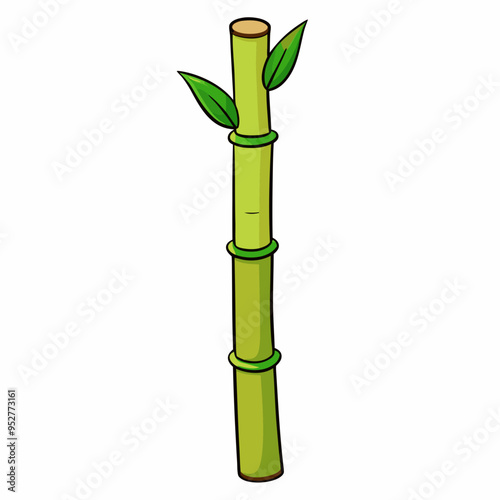 Bamboo Vector Art on White Background
