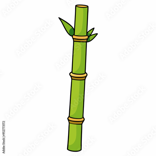 Bamboo Vector Art on White Background