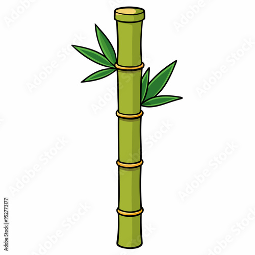 Bamboo Vector Art on White Background