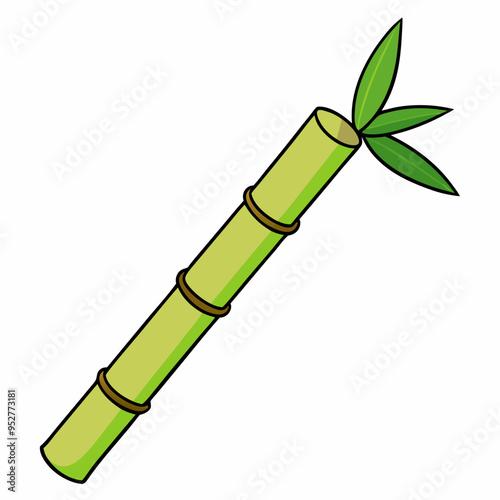 Bamboo Vector Art on White Background