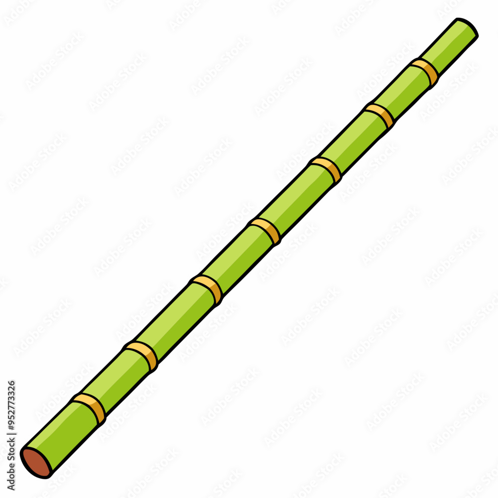 Fototapeta premium Bamboo Vector Art on White Background