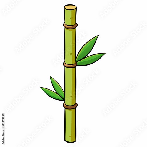 Bamboo Vector Art on White Background