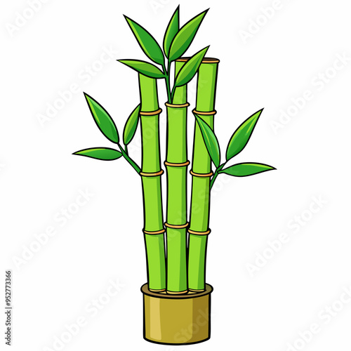 Bamboo Vector Art on White Background