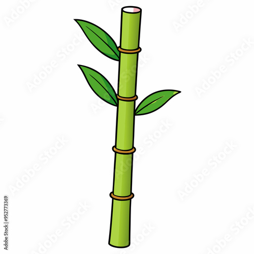 Bamboo Vector Art on White Background