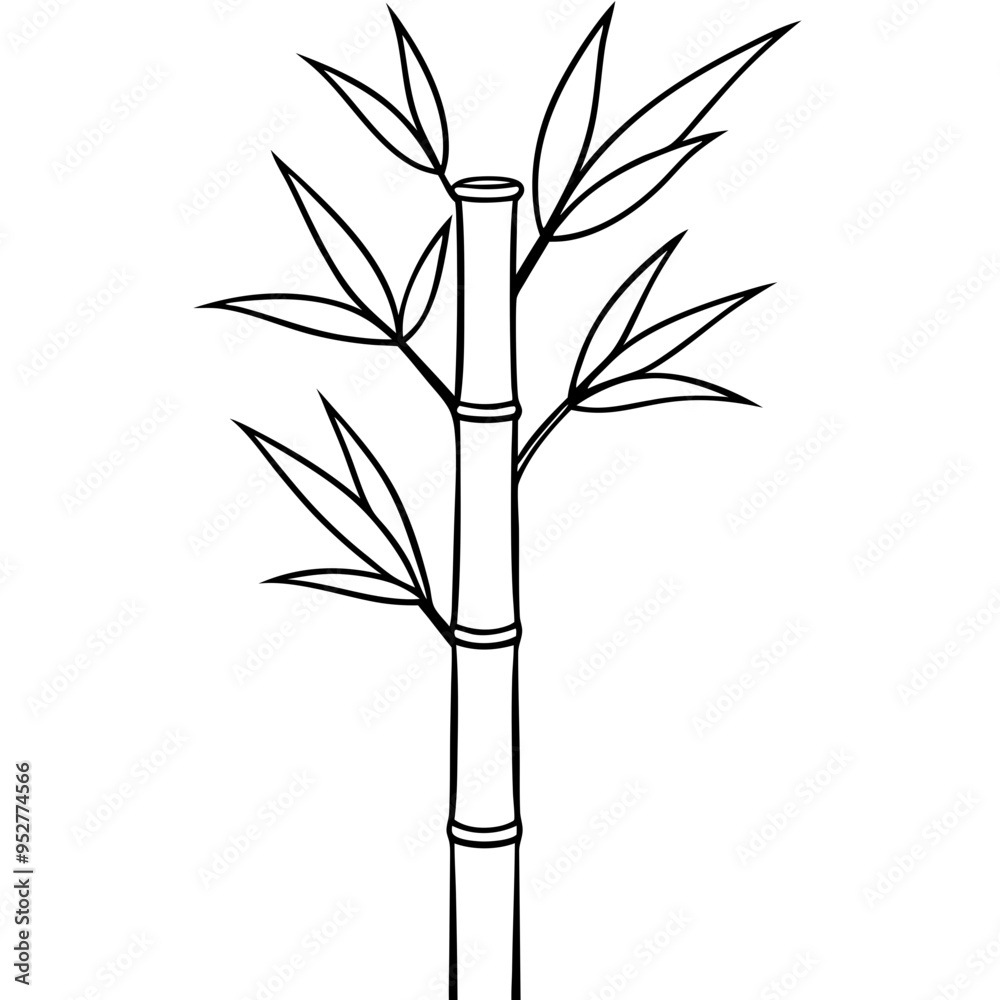 Obraz premium Bamboo Vector line Art on White Background