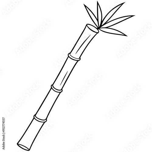 Bamboo Vector line Art on White Background