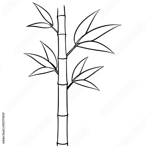 Bamboo Vector line Art on White Background