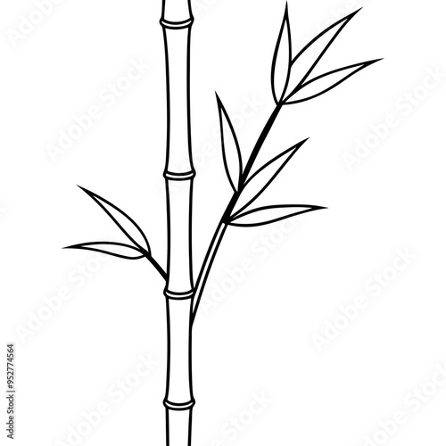 Bamboo Vector line Art on White Background