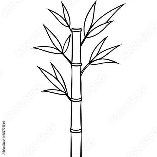 Bamboo Vector line Art on White Background