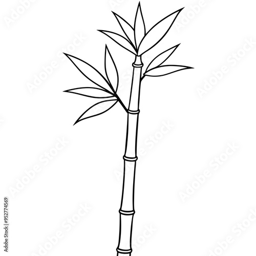 Bamboo Vector line Art on White Background