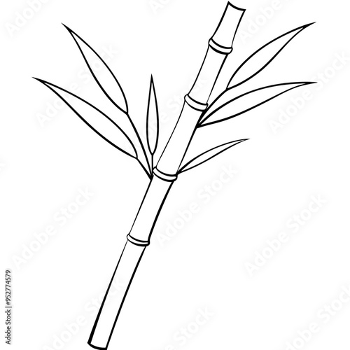 Bamboo Vector line Art on White Background