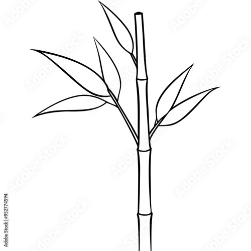 Bamboo Vector line Art on White Background