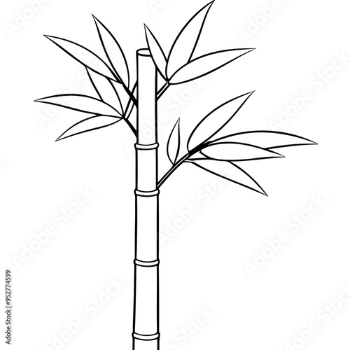 Bamboo Vector line Art on White Background