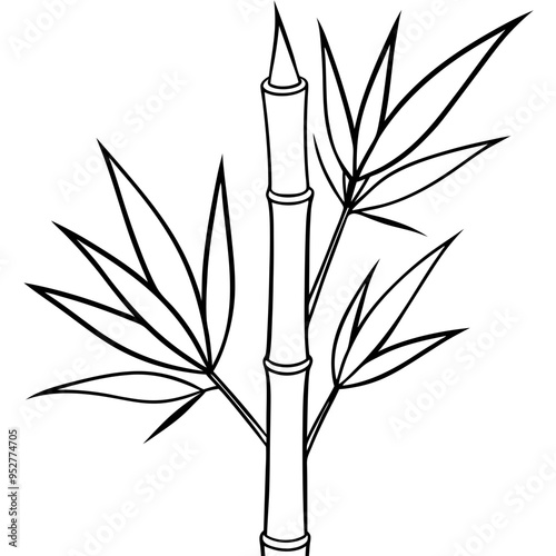 Bamboo Vector line Art on White Background