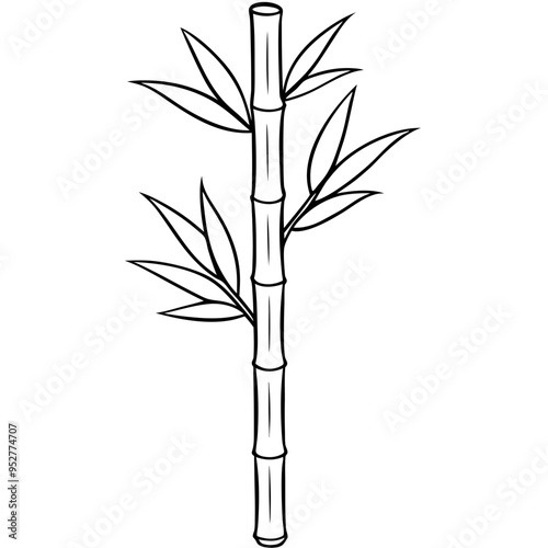 Bamboo Vector line Art on White Background