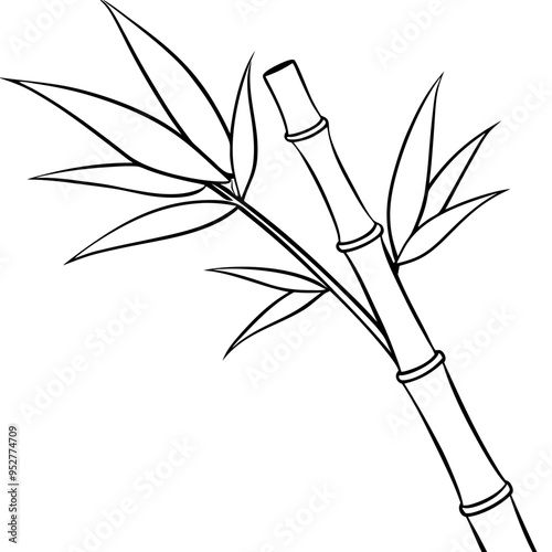 Bamboo Vector line Art on White Background