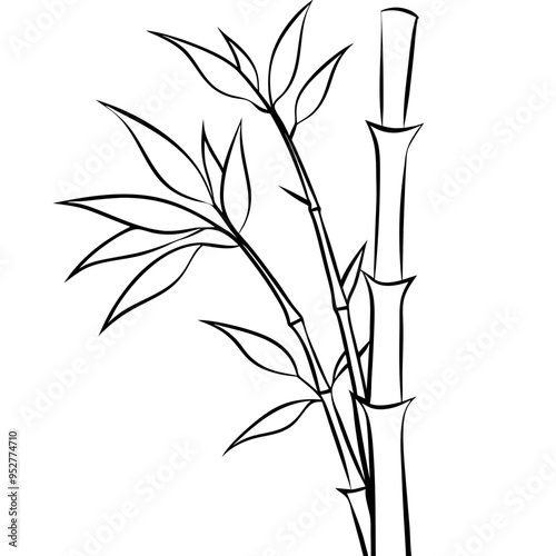 Bamboo Vector line Art on White Background