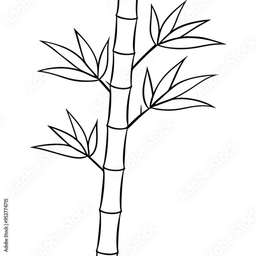 Bamboo Vector line Art on White Background