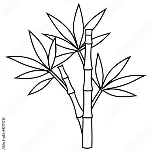 Bamboo Vector line Art on White Background