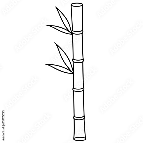 Bamboo Vector line Art on White Background