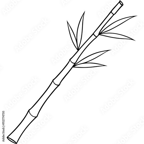 Bamboo Vector line Art on White Background