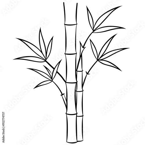 Bamboo Vector line Art on White Background