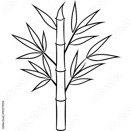 Bamboo Vector line Art on White Background