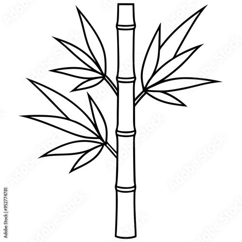 Bamboo Vector line Art on White Background