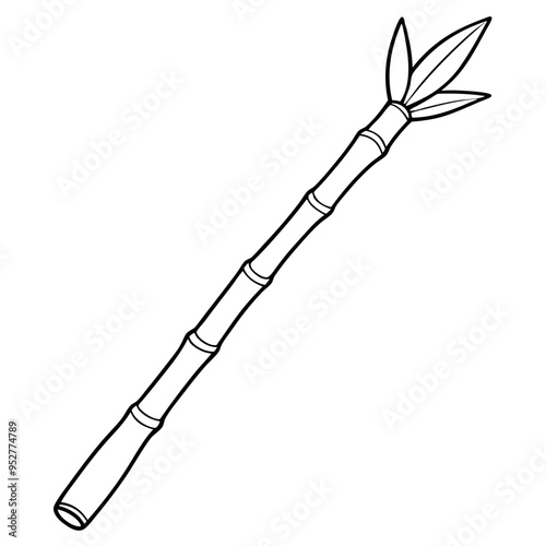 Bamboo Vector line Art on White Background