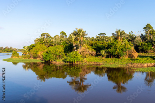 Фотография Amazon rainforest reflecting in river's edge waters