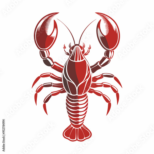 Hand drawn crawfish vector illustration white background