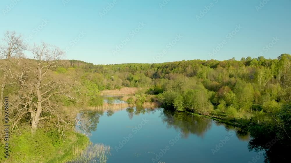 Beautiful aerial forest scene in summer. Green trees and river on sunny summer day. City park scenery. Beautiful aerial forest scene in summer. Green trees and river on sunny summer day. City park scenery.