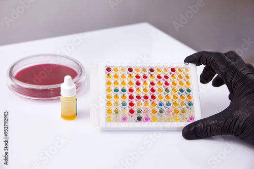 Microbiology Laboratory. Petri Dishes with Various Bacteria Samples