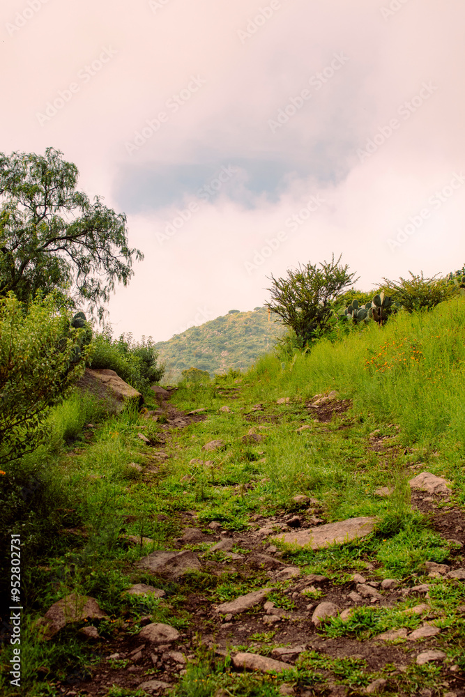 Camino en un montaña Donde se ve una montaña de lejos Camino en un montaña Donde se ve una montaña de lejos