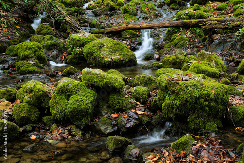 “Uracher Wasserfall“ natural reserve in autumn season with colorful leaves and longtime exposure of Bruehl creek cascades in Bad Urach Germany near popular natural attraction and waterfall sight photo