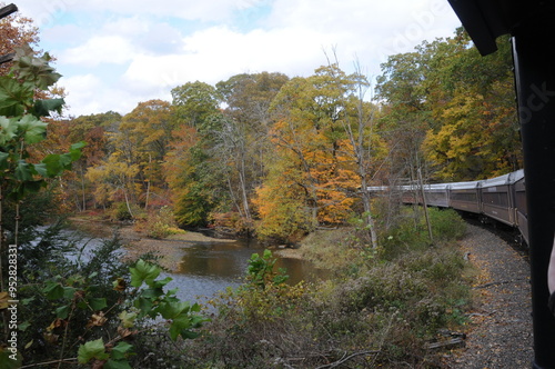 autumn scene with creek