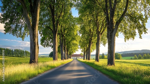 A serene countryside road lined with tall trees, leading to a distant farmhouse under a blue sky