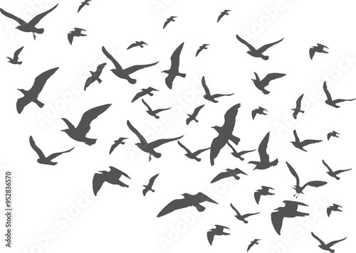 Bird flock black silhouettes. Flying animal group