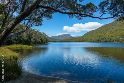 A lake with a tree in the background. The water is calm and clear. The sky is blue with some clouds