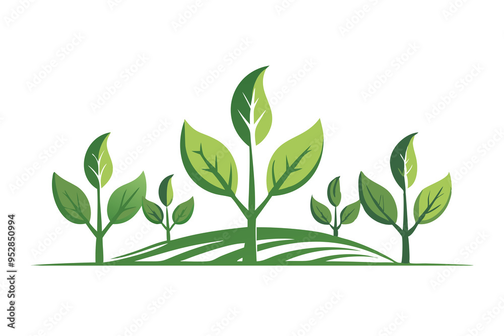 Obraz premium green plant isolated on white backgroud, ecology content
