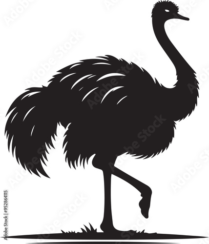 Ostrich silhouette, vector black color silhouette solid white background photo