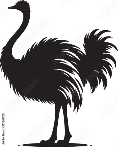 Ostrich silhouette, vector black color silhouette solid white background photo