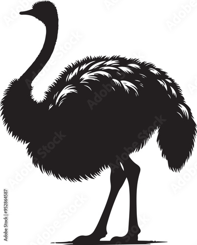 Ostrich silhouette, vector black color silhouette solid white background photo