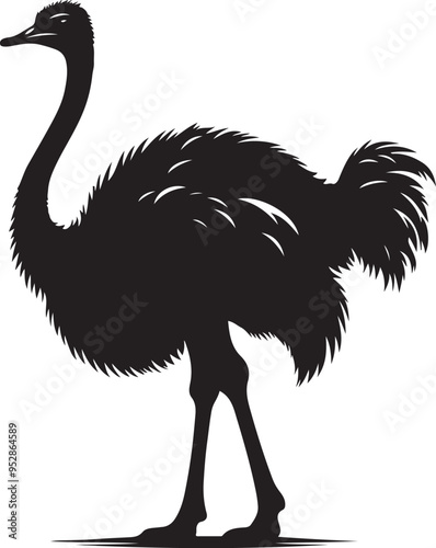 Ostrich silhouette, vector black color silhouette solid white background photo