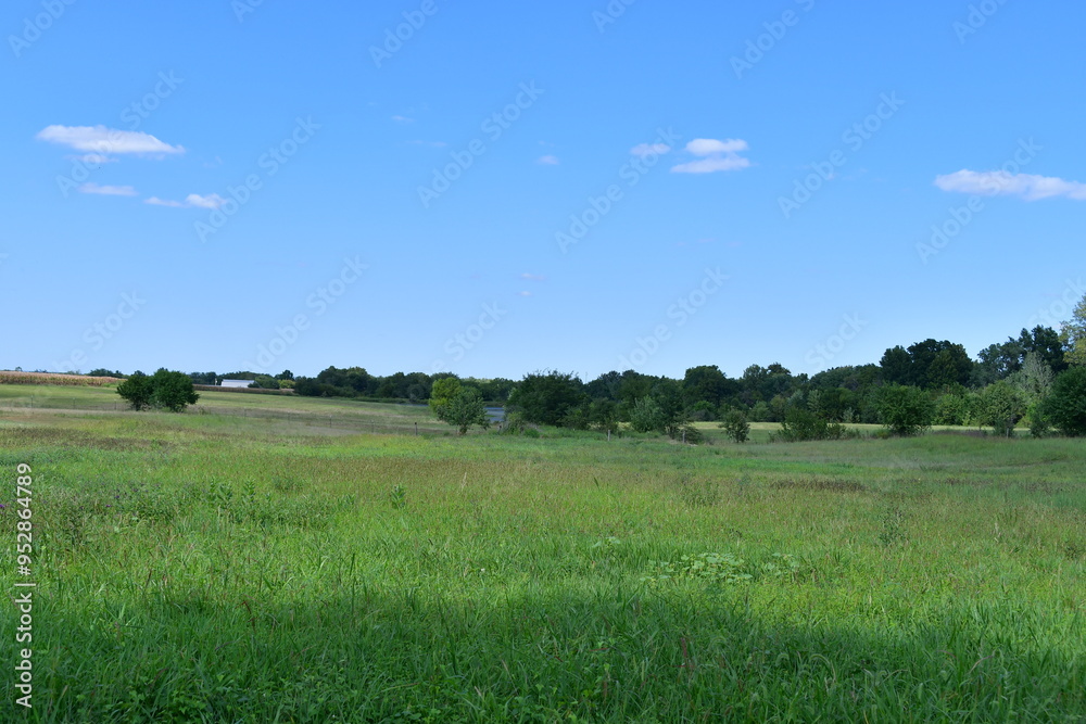 Fototapeta premium Field