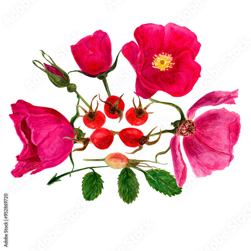 Watercolor set of leaves, flowers and rose hip berries