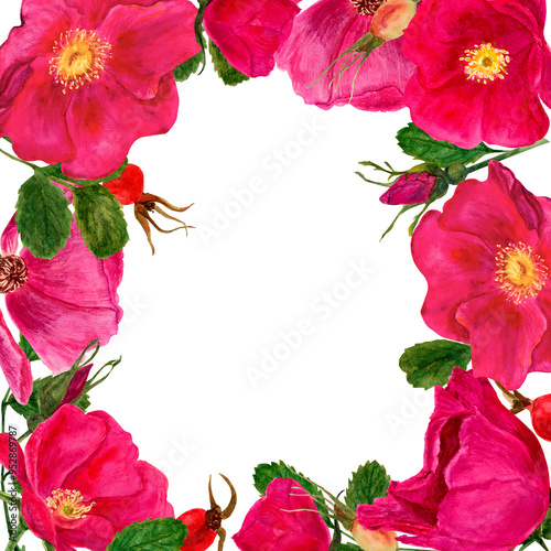 Rosehip watercolor frame template, wild rose flowers, hips and leaves